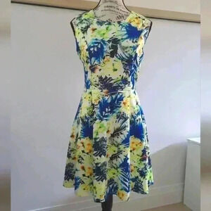 LAKEFIELD AND CO. | Women's Bright Multicolor Floral Sleeveless Mini  Dr…